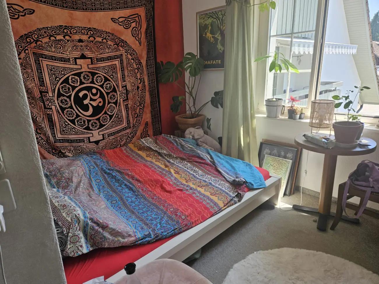 Schönes, sonniges Zimmer zwischen Zürich und Winterthur zu vermieten - 1