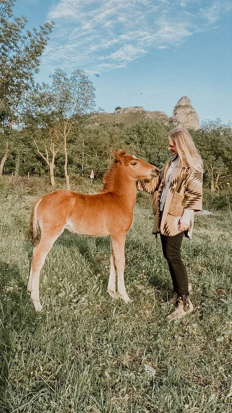 Reiten & Yoga Retreats - 3