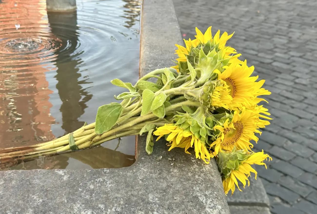 Phototrip image