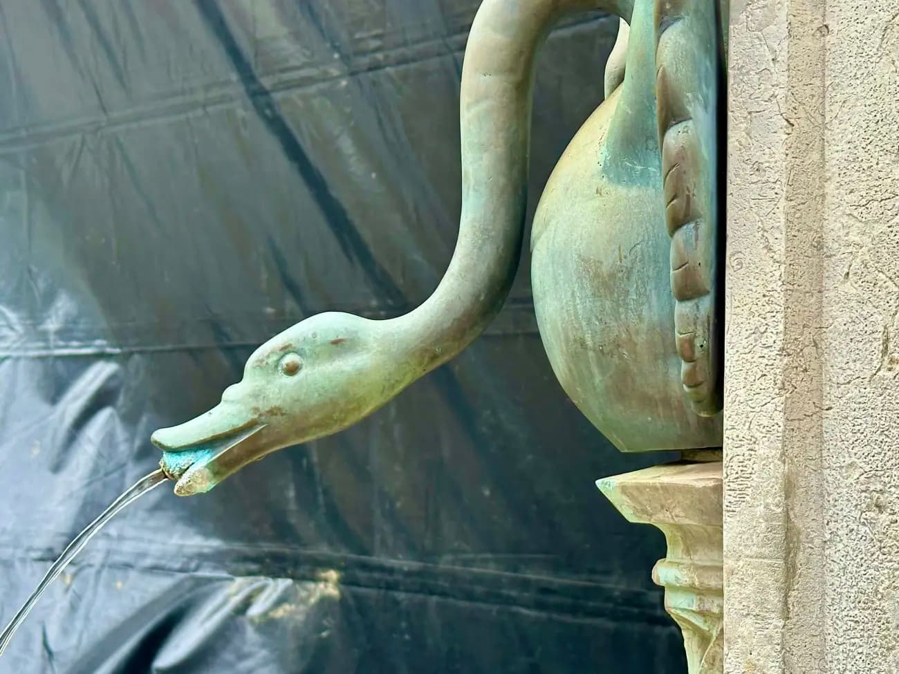 Phototrip image