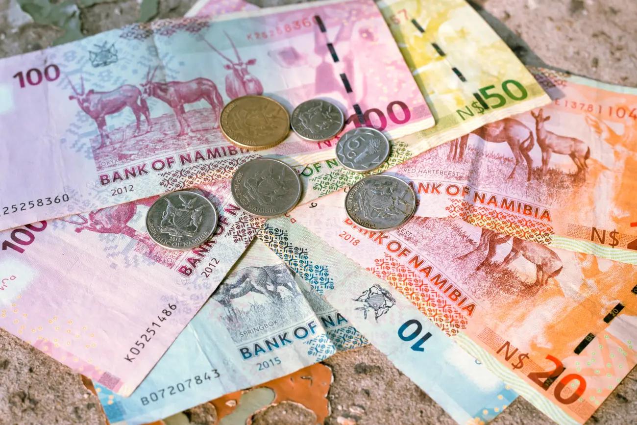 GESUCHT: Botswanischer Pula und Namibia Dollar - wird abgekauft