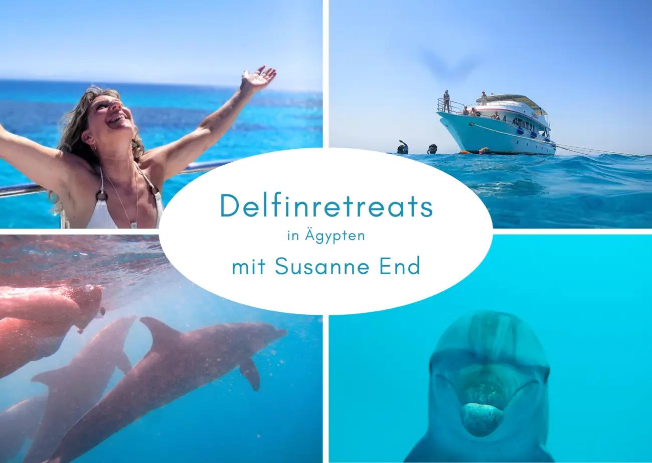 Schwimmen mit freien Delfinen - Delfinretreat auf dem Roten Meer - 1