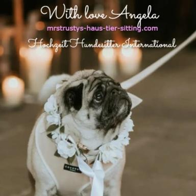 Profile photo of - MrsTrustys Pet & House Sitter International