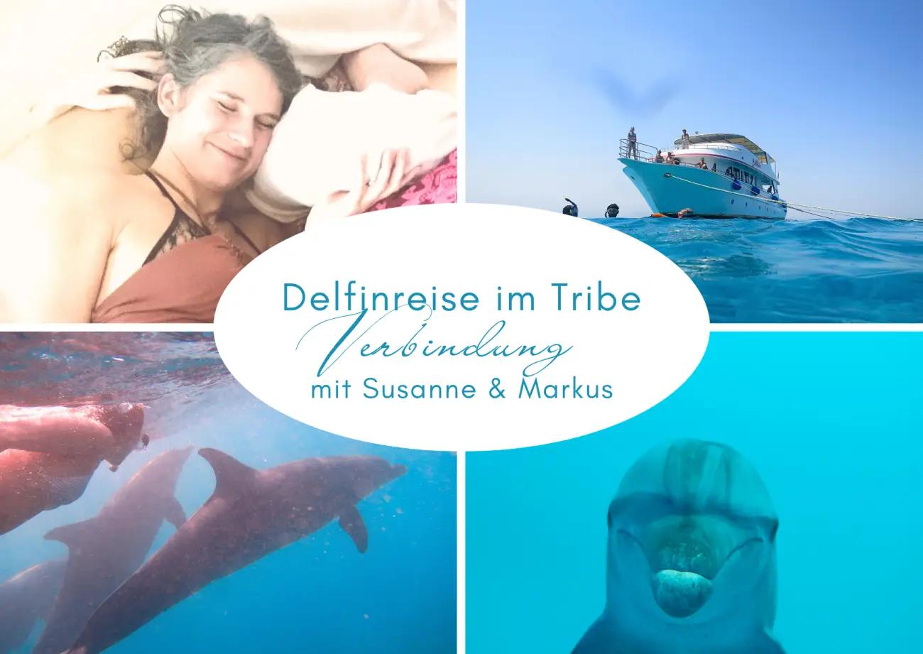 Delfinretreat auf dem Roten Meer - Juni 2026 - 1