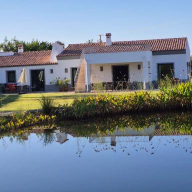 Profile photo of - VisTamar-Algarve