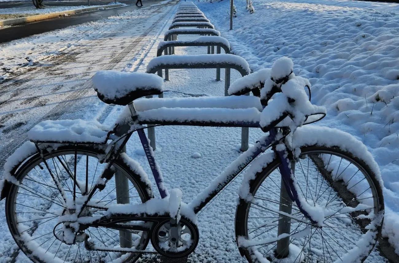 A Treat For Those Who Have Stuck To Riding The Bike