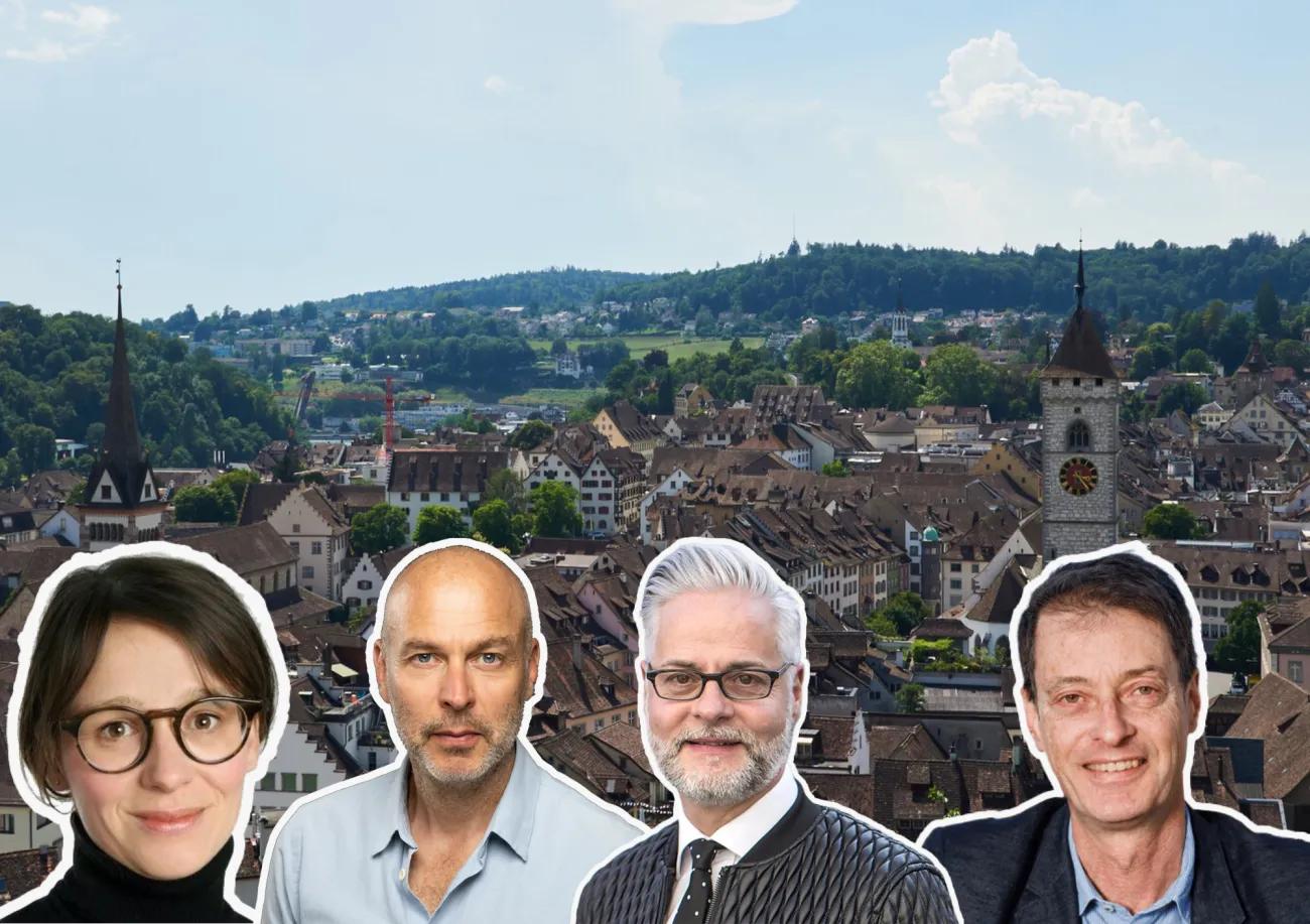 Solarpanels auf jedem Dach? - 1