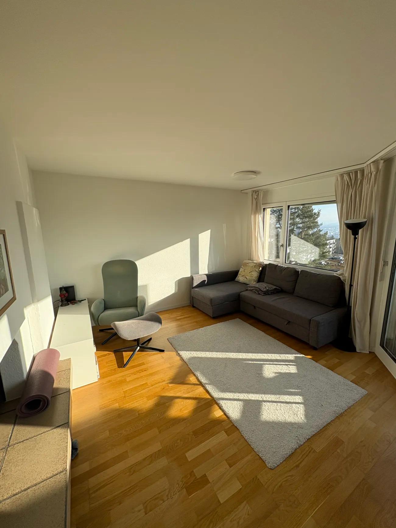 Befristete Untermiete: Grosszügige, möblierte Wohnung für 10- 12 Monate zu vermieten (15.07.2026 – 01.07.2027) - 2