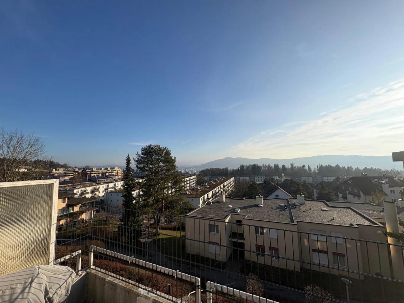 Befristete Untermiete: Grosszügige, möblierte Wohnung für 10- 12 Monate zu vermieten (15.07.2026 – 01.07.2027) - 1