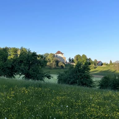 Profile photo of - Gasthaus Schlosshalde