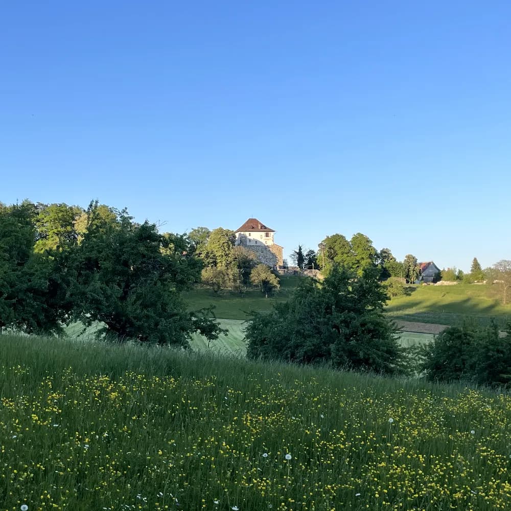 Profile image of - Gasthaus Schlosshalde