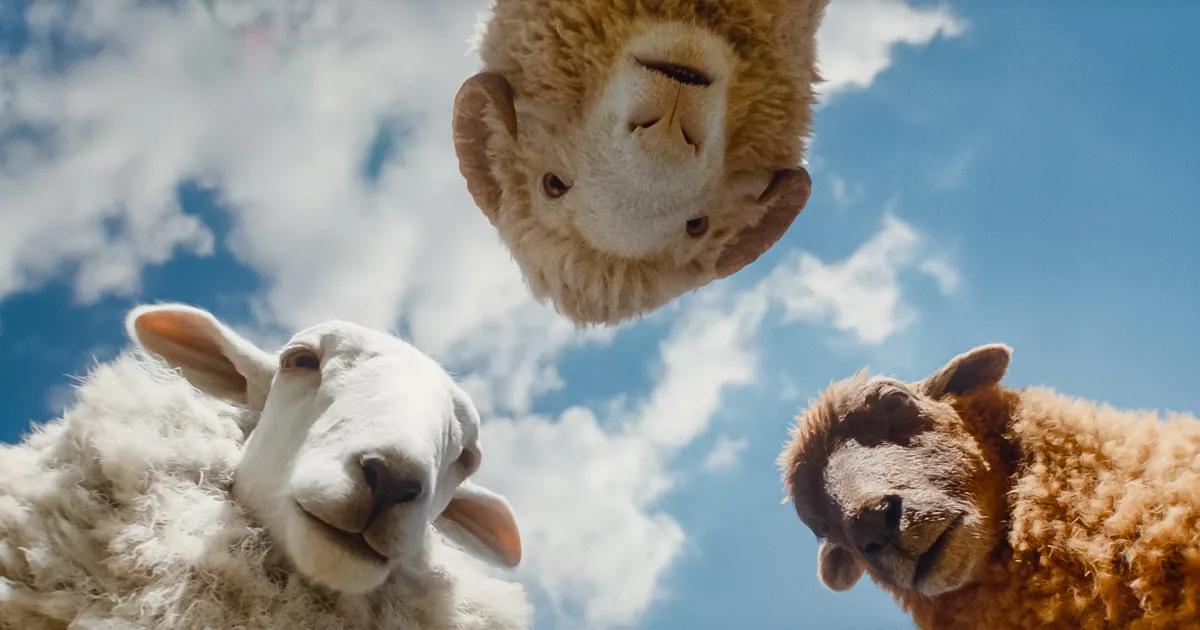Verlosung: Gewinne Tickets für den Kinofilm «Glennkill: ein Schafskrimi»