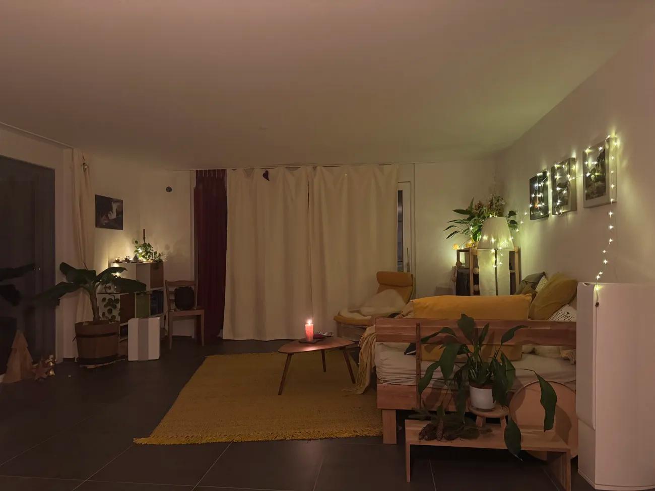 grosse 1.5-Zimmer-Wohnung mit Terrasse auf dem Land neben Wil - 3
