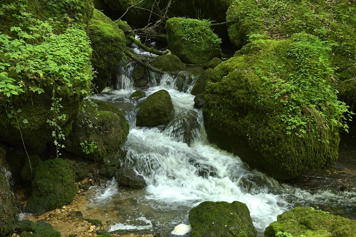 Jura-Kräuterwanderung im Laufental & Schwarzbubenland (Basel-Land / SO) - 1