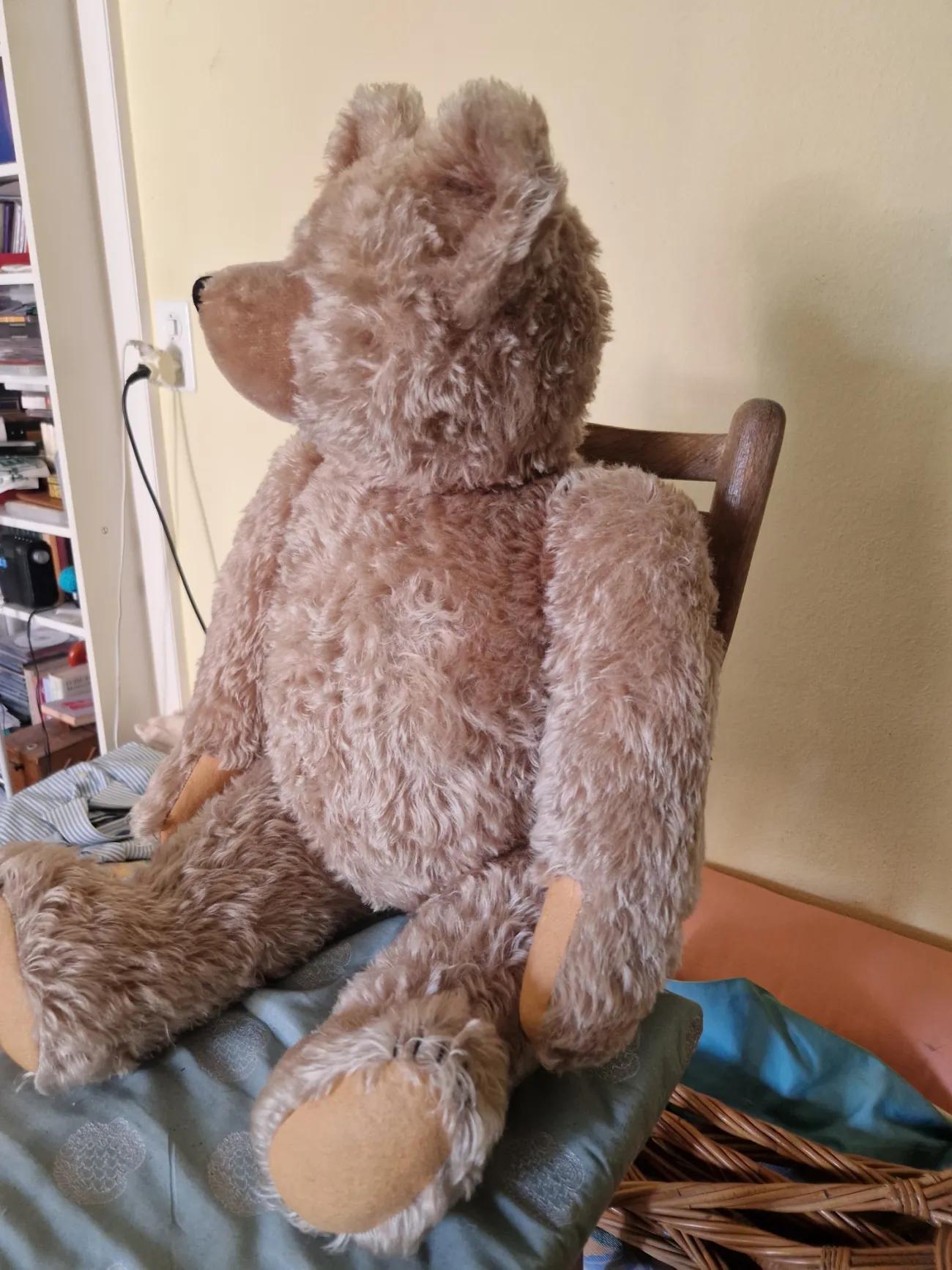 Antiker Brummplüschbär - 2