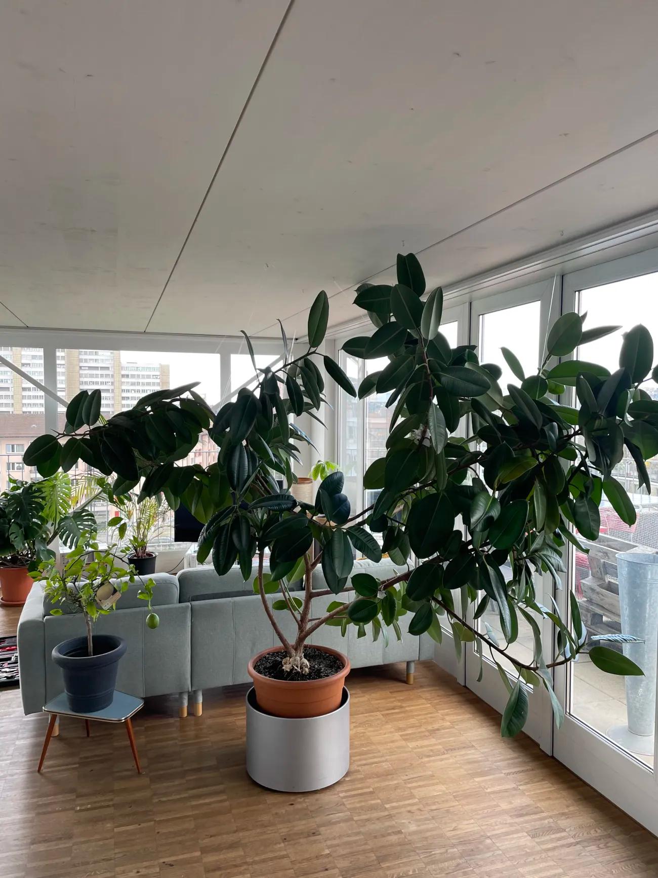 Grosses Zimmer in 4er WG zu vermieten - männlicher Nachmieter ab 35 gesucht - 3