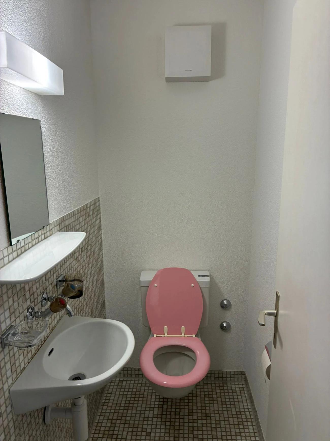 Grosszügige und helle 4.5-Zimmer-Wohnung in Zürich-Witikon sucht Nachmieter - 3