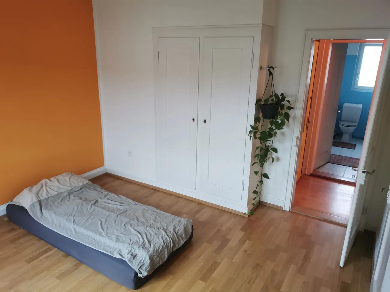 Wg Zimmer - 2