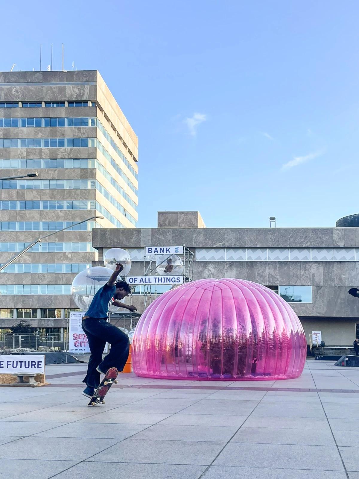 Pinker Dome - ein echter Hingucker - 1