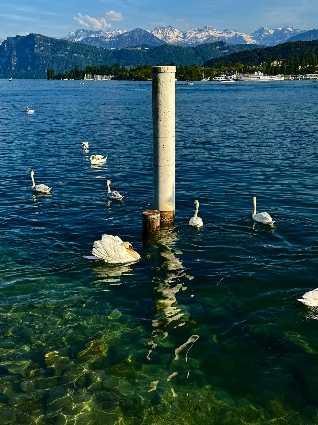 Phototrip image