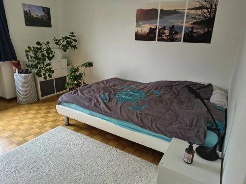 Zwischenmieter für möblierte 3.5 Zimmer-Wohnung in Winterthur-Seen gesucht - 3