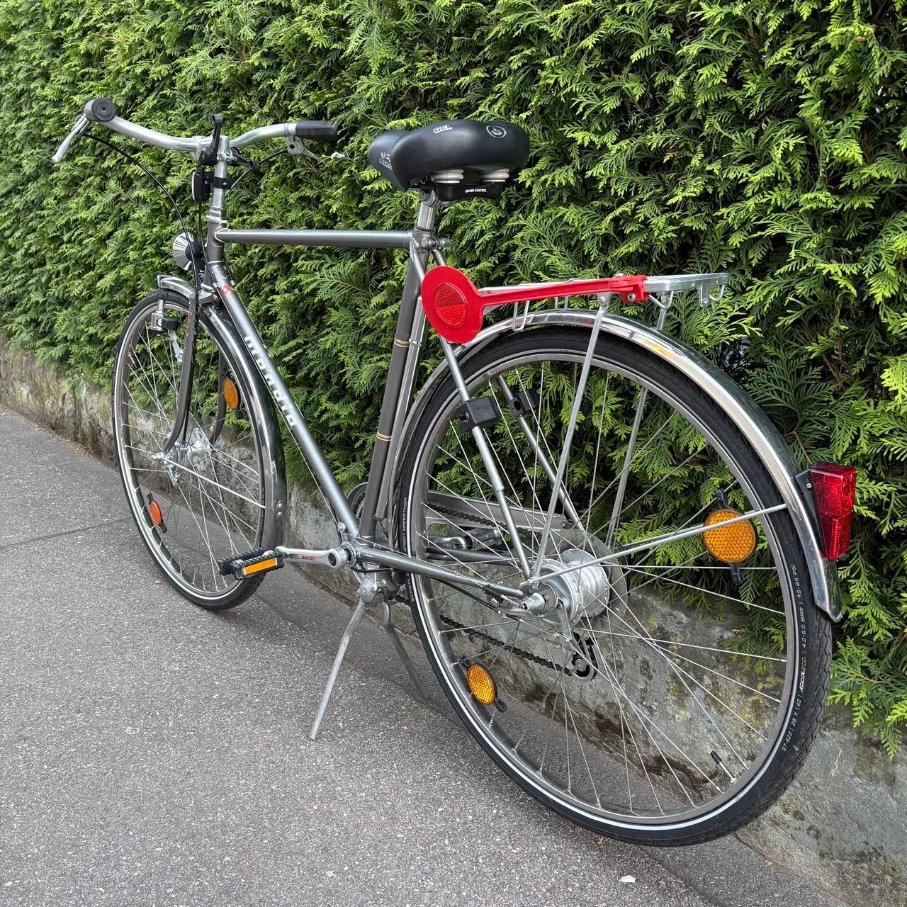 Oldie Velo / Fahrrad, 12 Gang - 3