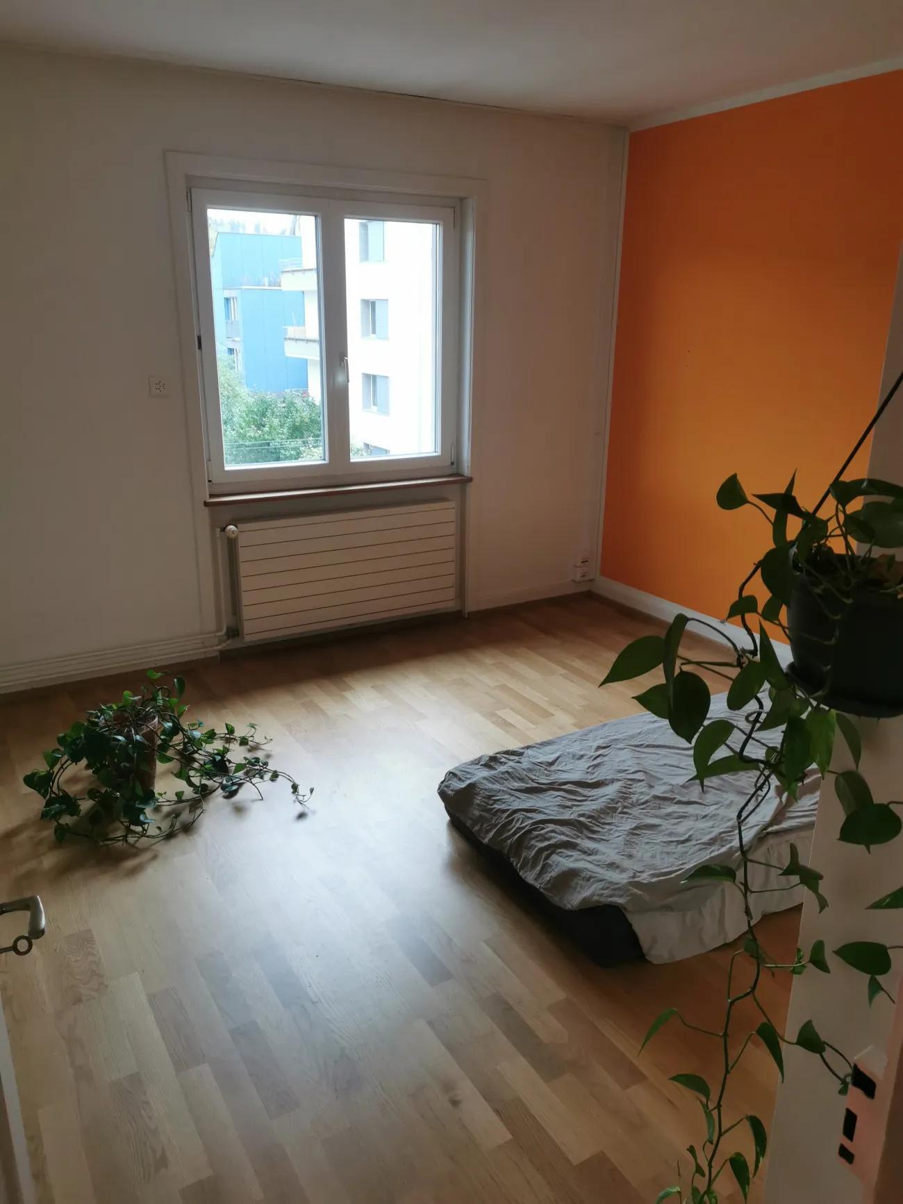 Wg Zimmer - 1