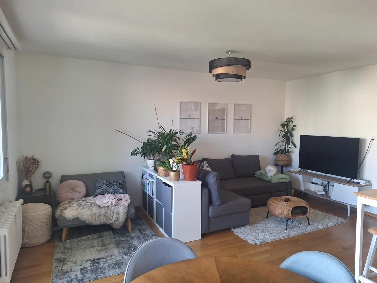 Cozy Fully Furnished Flat for Sublet - 3