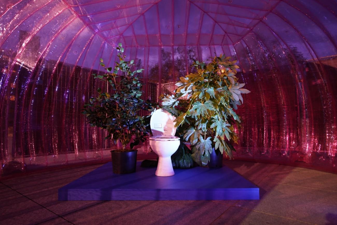 Pinker Dome - ein echter Hingucker - 2