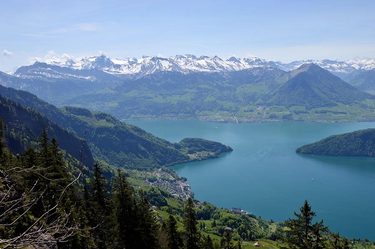 Kräuterwanderung auf der Rigi – botanische Entdeckungen am Südhang - 1