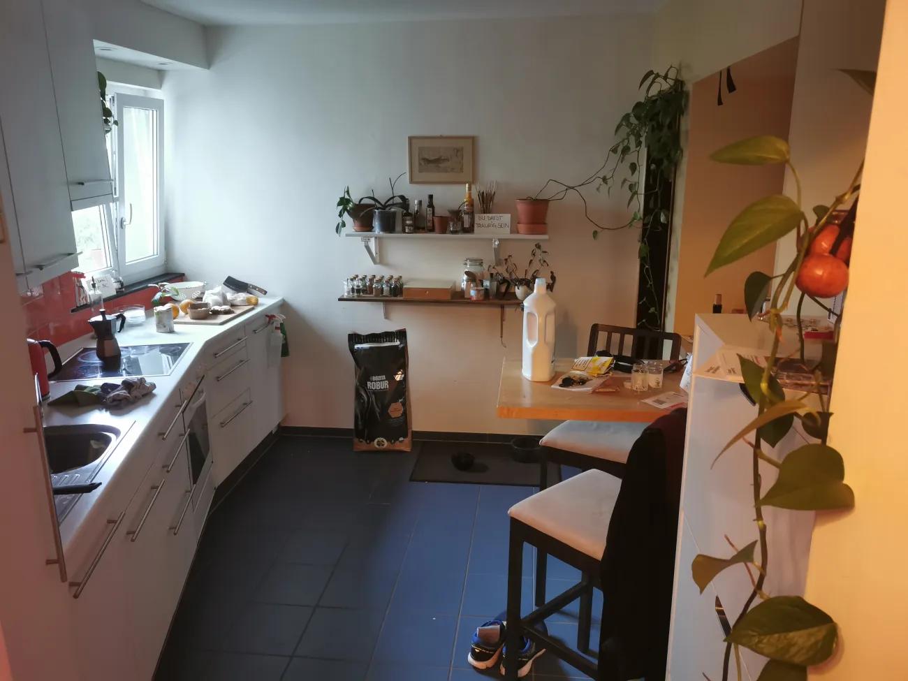 Wg Zimmer - 3