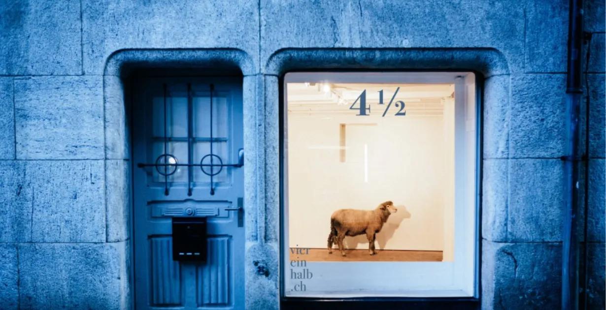 Deine Kunst im Rampenlicht