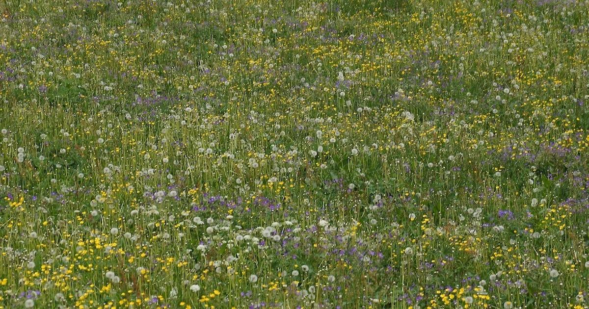 Was gibts da vor der Tür?