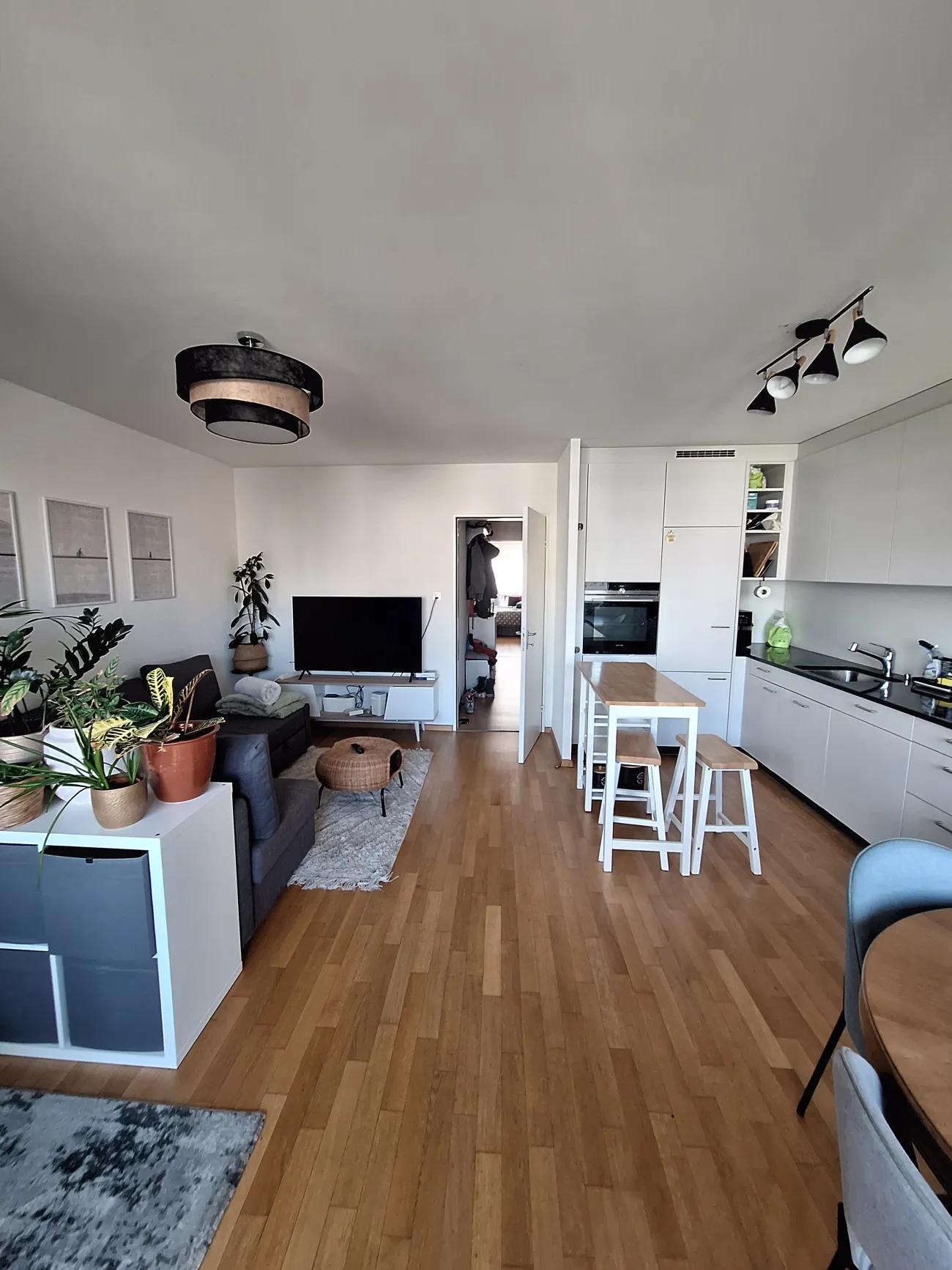 Cozy Fully Furnished Flat for Sublet - 1