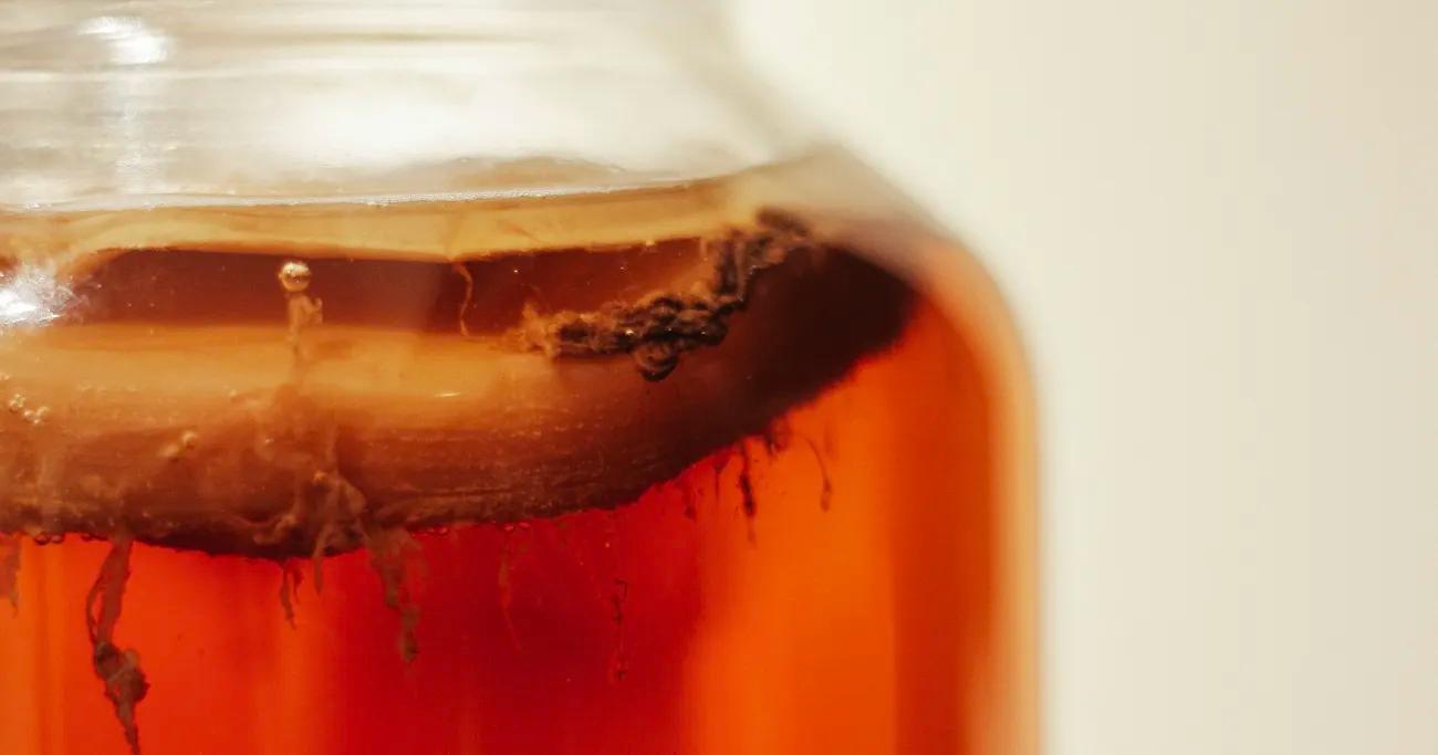 Welches ist das beste fermentierte Getränk?