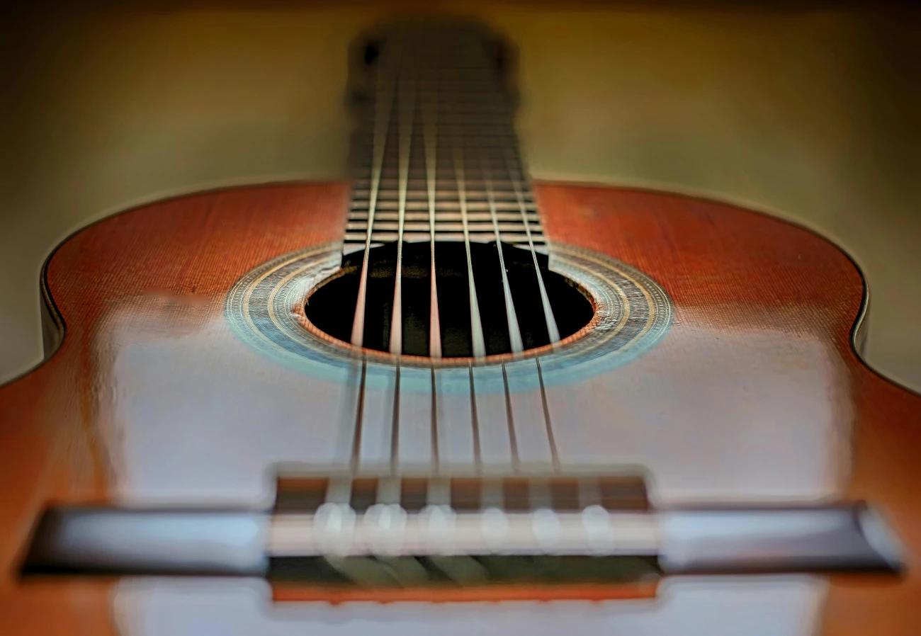 Flamingo unplugged