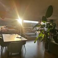 WG - Zimmer mit Büsi! - 1