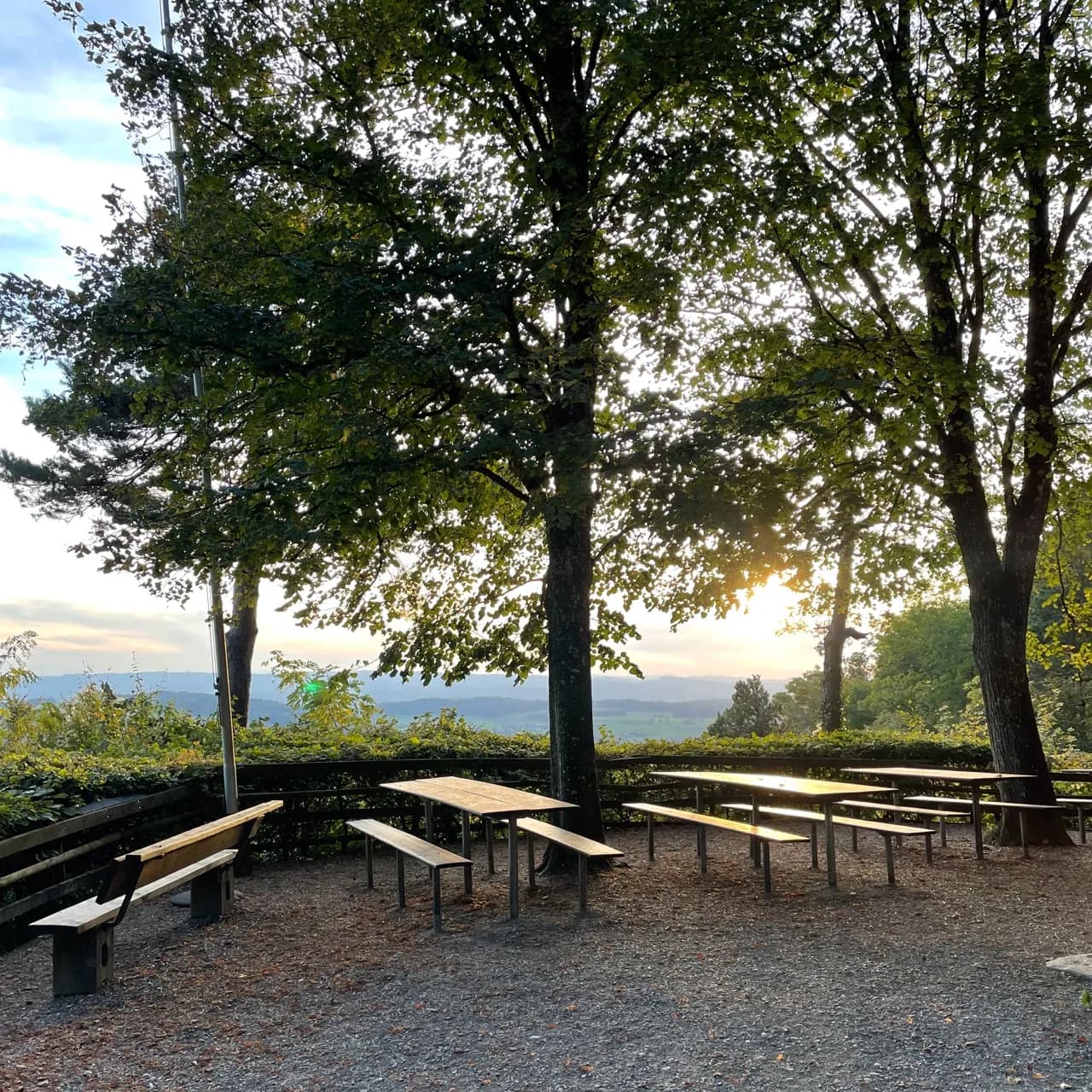 Gastro Allrounder:in Jurablick 🌳 (Uetliberg, Zürich) - 2