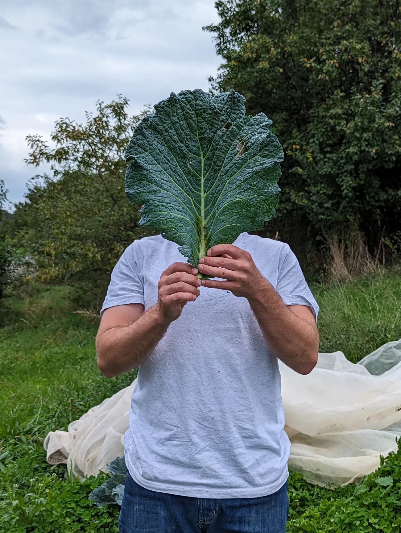 Verkaufshilfe in Bio-Laden (30 - 40%, per sofort) - 1