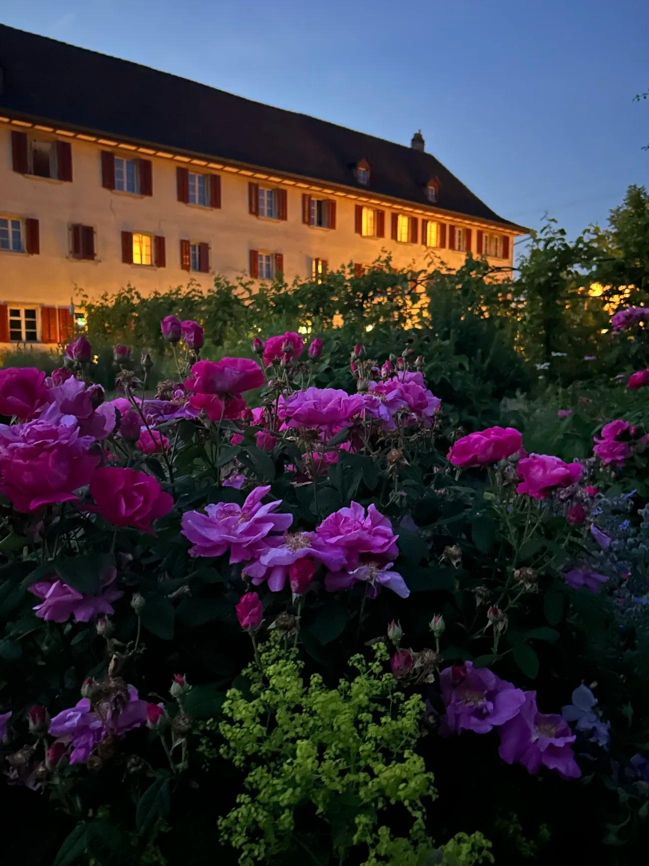 Klangraum im Kloster Dornach – Präsenz, Resonanz, Verbindung   Creative Retreat mit Pantha du Prince & Barbara van der Meulen - 3