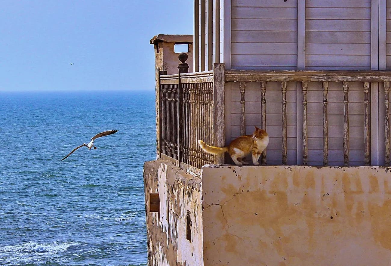 Phototrip image