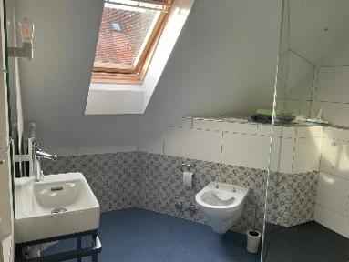 Freier Platz in 3-er WG in einem schönen, grosszügigen Haus - 3