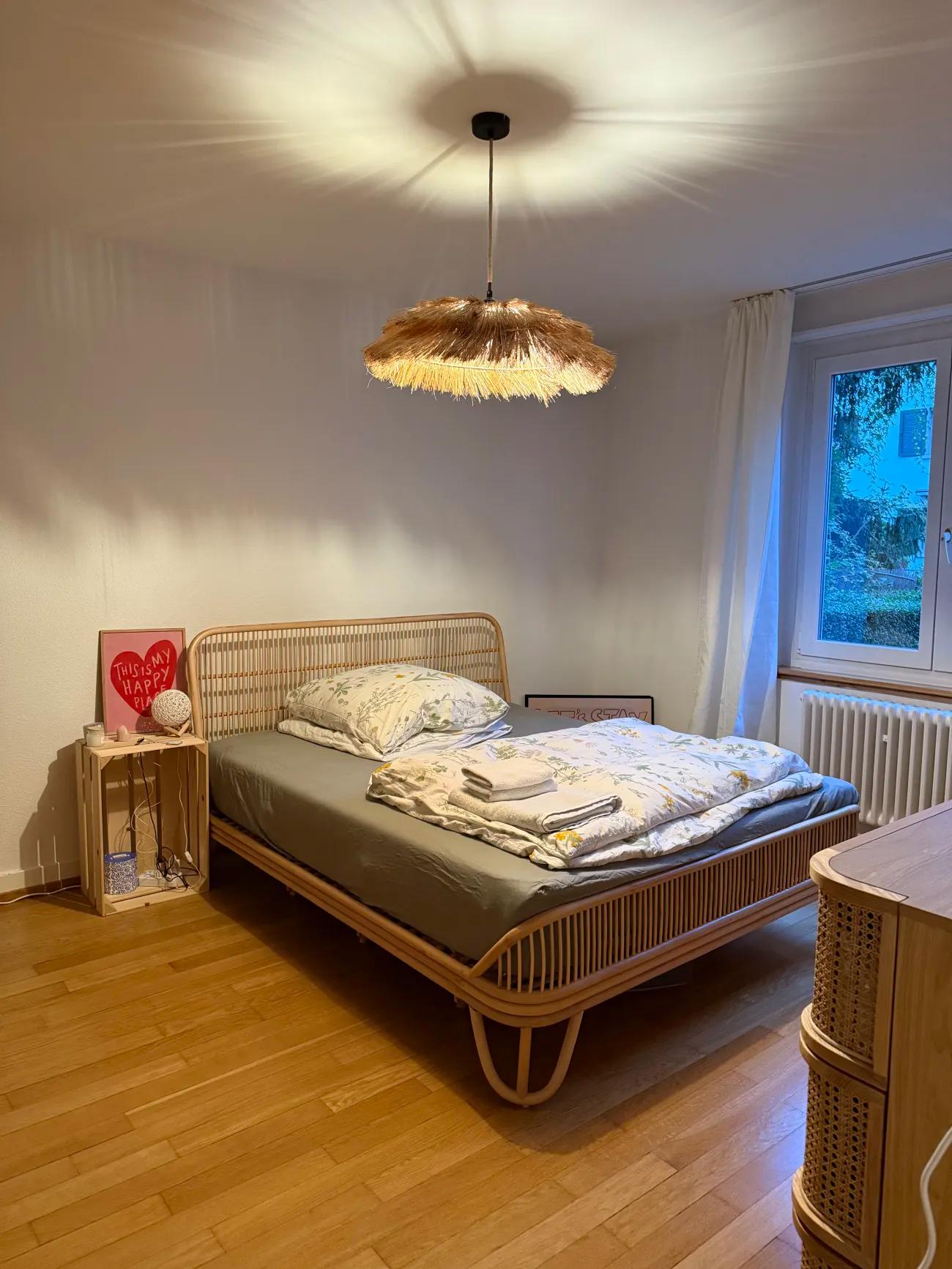 gemütliches Zuhause in Wiedikon sucht eine:n liebevolle:n Zwischenmieter:in - 3