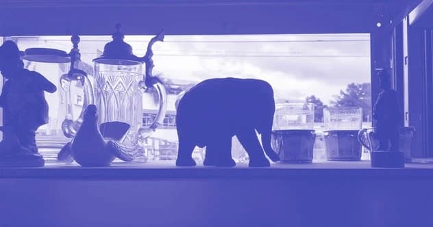 Soundlesung: Sounds like an Elephant