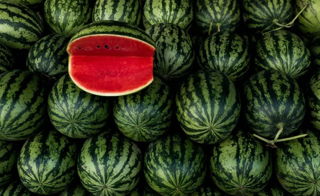 Ode an die Wassermelone