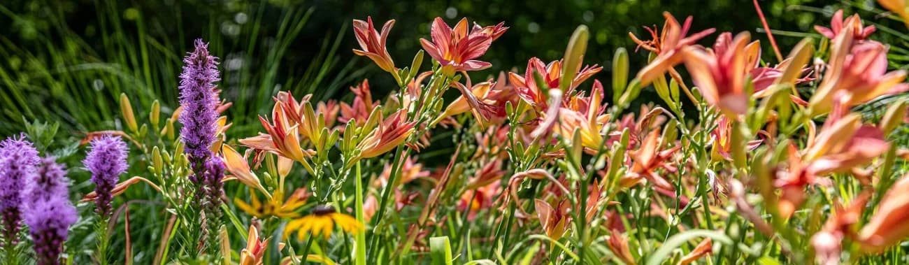 Durch den Garten schlendern