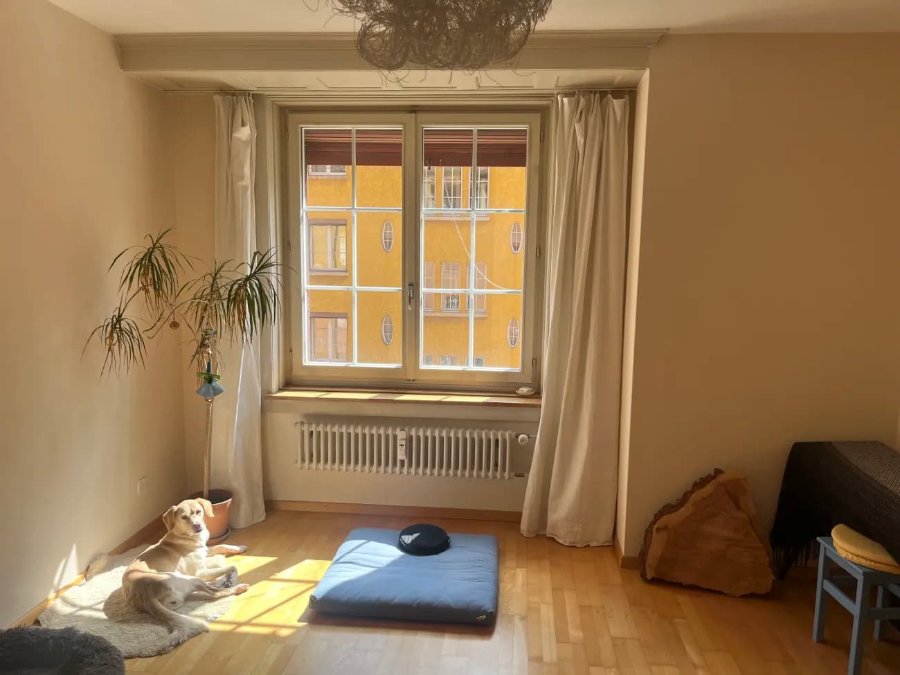 zentrale, grosszügige und atmosphärische 2.5 Zimmerwohnung in ruhiger Seitenstrasse nahe Limmatplatz - 3