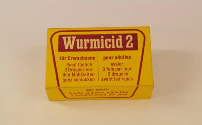 Würmer und so