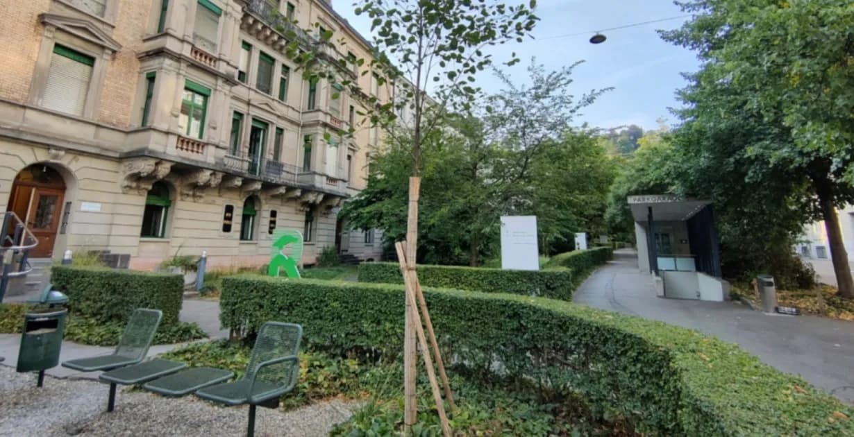 Mehr Bäume braucht die Stadt