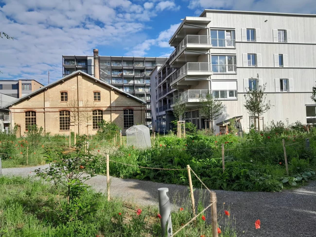 1 Zimmer = ca. 954 CHF. Gross-WG-Gründung im Hobelwerk. - 2